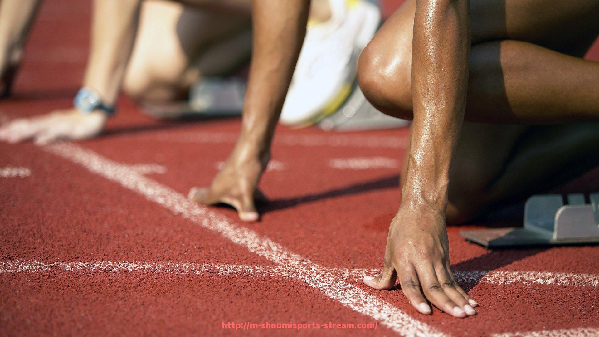 收米体育直播-足球裁判报告的重要性及撰写要点?(足球裁判报告的重要性及撰写要点是什么)