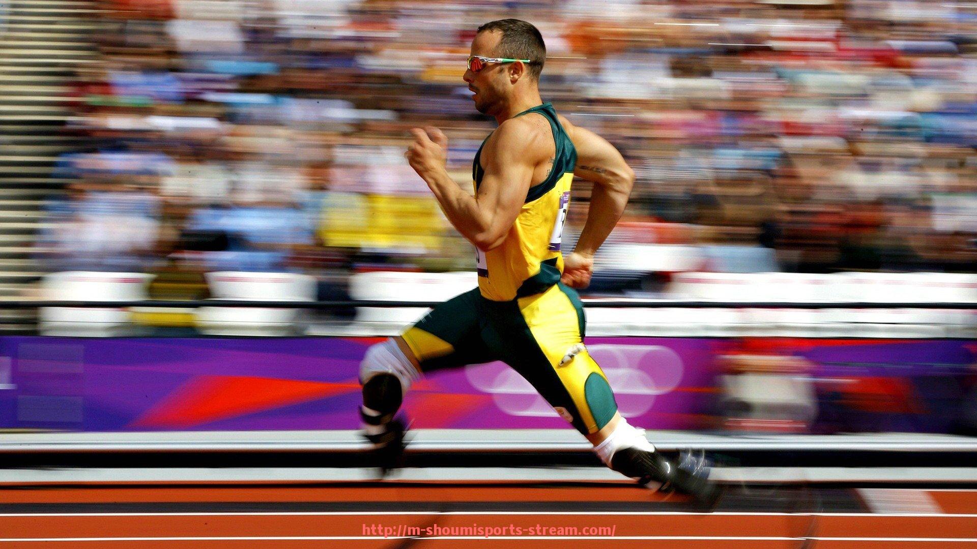 收米体育直播-健身器材大全第六版：全类型健身工具图文详解