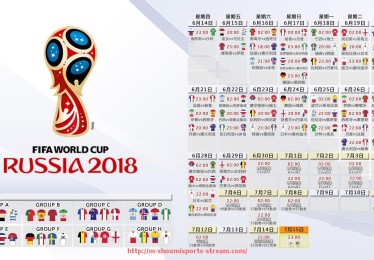 收米体育直播-法甲球队目标设定与执行力评估：能否达成欧战资格？