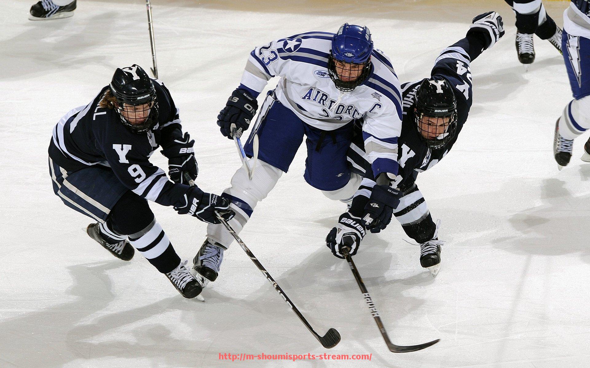 收米体育直播-中国CBA球员的明星妻子们：篮球背后的情感故事